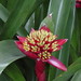 Frederick Bloom Photo 10