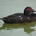 Antonio Gines Photo 7