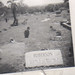 William Roberson Photo 12