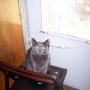 Emily Tabor Photo 15