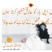 Zulfiqar Ahmed Photo 13