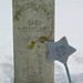 Charles Banks Photo 4