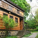 Kimber Stone Photo 8