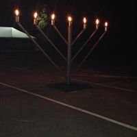 Carol Rector Photo 27