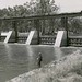 Edward Stevens Photo 8
