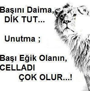 Alican Kartal Photo 11