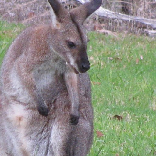 Ken Mcleod Photo 32