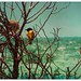 Emily Bird Photo 6