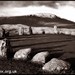 Tony Knotts Photo 3