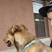 Corey Swan Photo 10