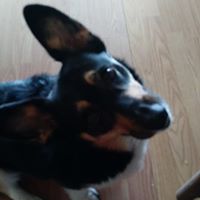 Wendy Cunningham Photo 33