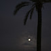 Catalina Rivera Photo 9
