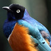 Elizabeth Starling Photo 12