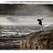 David Sauter Photo 10
