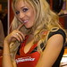 Steven Robbins Photo 19