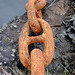 Rusty Fife Photo 2