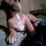 Robert Schrader Photo 34