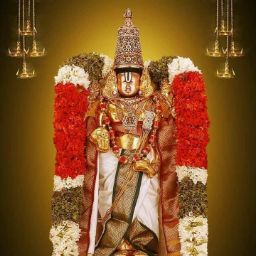 Mv Reddy Photo 12