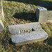 Jane Hatt Photo 2
