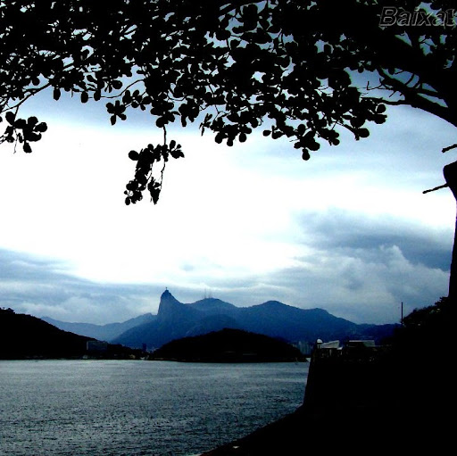 Elizabete Soares Photo 9