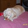 Janice Hayes Photo 39