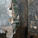 Rusty Wall Photo 14