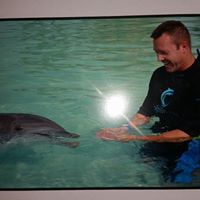 John Stitt Photo 45