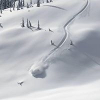 Brian Esau Photo 22
