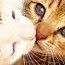 N N Photo 19