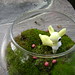 Linda Moss Photo 11
