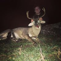 Jon Cullen Photo 9