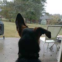 Laurie Skelton Photo 9