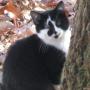 Debra Cash Photo 27