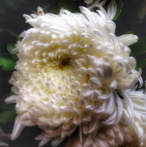 Marie Berry Photo 21