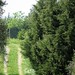 April Campagna Photo 11