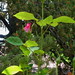 Doris Wells Photo 7
