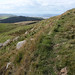 Norman Hill Photo 8