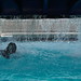 Mike Alfaro Photo 13