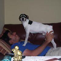 Luis Zaldivar Photo 36