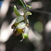 Mel Baga Photo 1