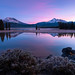 Mark Sparks Photo 10
