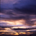 Sui Tam Photo 8