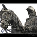 Jose Palafox Photo 11