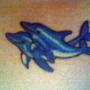 Kerri Boyer Photo 10