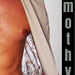 Timothy Robison Photo 10