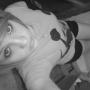 Nikki Crain Photo 12