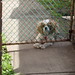 Molly Gates Photo 5