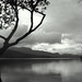 Nanci Long Photo 10