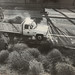 Roger Olsen Photo 11