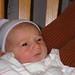 Patrick Nolan Photo 14